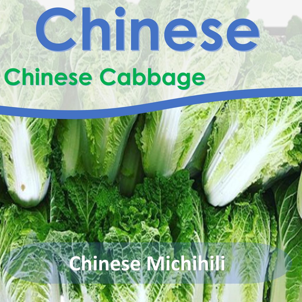 Michihili Chinese Cabbage is tender, crisp and sweet, with a pleasant spicy flavour with early medium maturity.