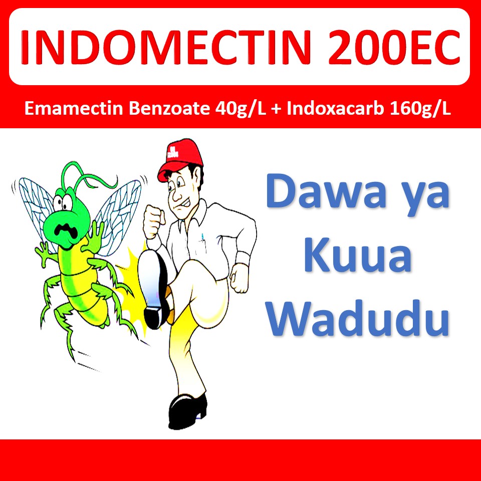 Indomectin 200EC ni dawa ya kuua wadudu waharibifu kwenye mazao mbalimbali hasa mpunga, nafaka na mazao ya mbogamboga