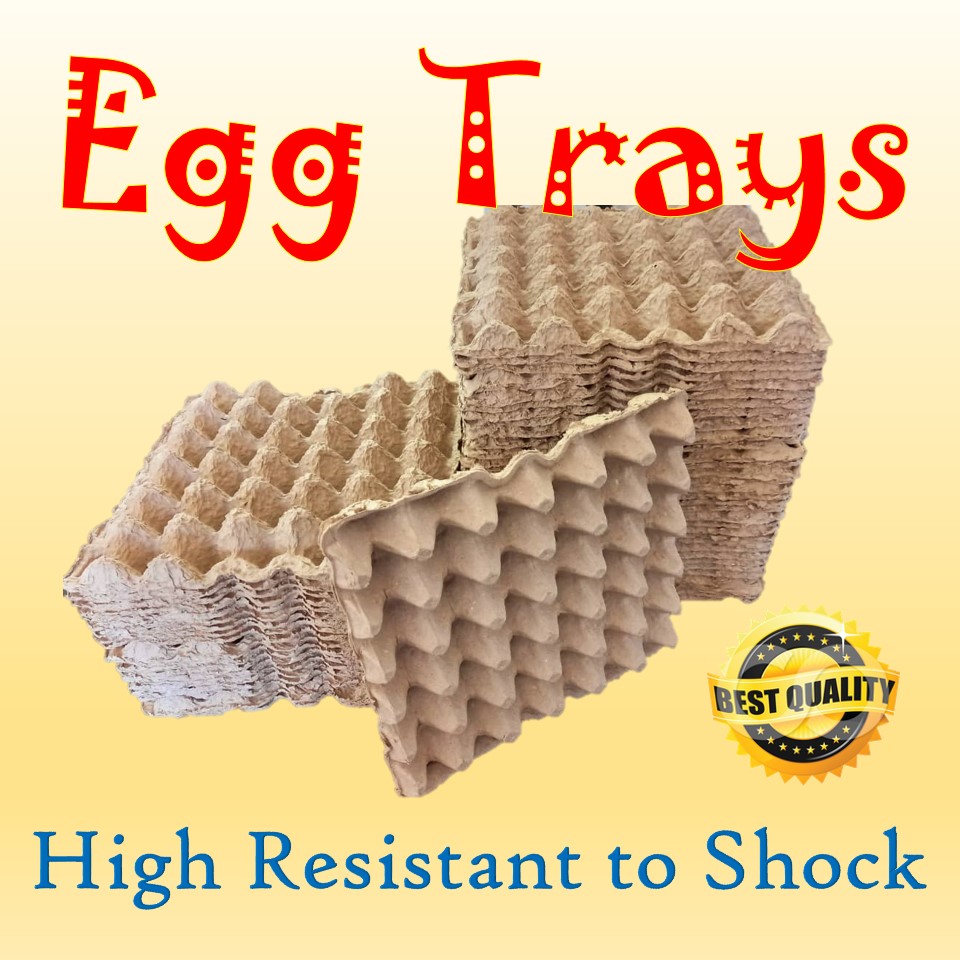 We supply the most environment friendly Pulp Paper Egg Tray made from the recycles paper. Our egg trays offer better results in packaging with low costing and safe and secure packaging to your eggs.