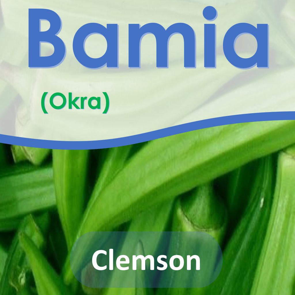 Okra Clemson Seeds