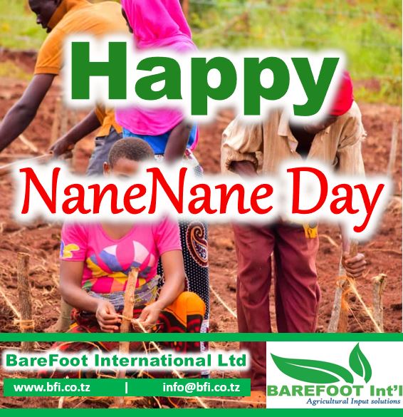 BareFoot International Limited Wishing you a Happy NaneNane Day