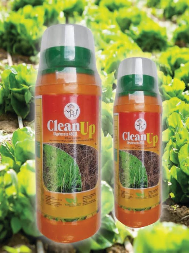 CleanUp (Glyphosate 480SL): Dawa ya Kuua Mimea ya Magugu kwa Ufanisi wa Hali ya Juu